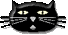 Tête chat noir